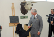 Prinz Charles