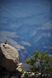 Grand Canyon, Arizona, America - 23 Jul 2013