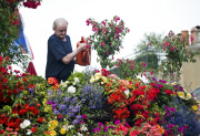 The Churchill Arms pub and its famous hanging baskets of flowers, Kensington Church St, London, Britain - 26 Jul 2013