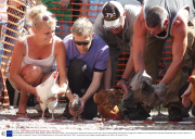 Hen Racing World Championships, Barley Mow pub, Bonsall, Derbyshire, Britain - 03 Aug 2013