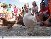 Hen Racing World Championships, Barley Mow pub, Bonsall, Derbyshire, Britain - 03 Aug 2013