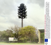 'Invasive Species' cellphone masts disguised as trees, South Africa - 08 Aug 2013