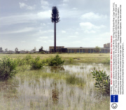'Invasive Species' cellphone masts disguised as trees, South Africa - 08 Aug 2013
