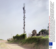 'Invasive Species' cellphone masts disguised as trees, South Africa - 08 Aug 2013