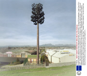 'Invasive Species' cellphone masts disguised as trees, South Africa - 08 Aug 2013