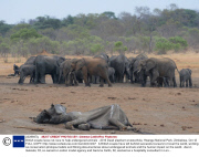 British couple leave rat-race to help endangered animals - 2013