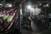 Life inside the pro-Morsi encampments