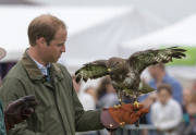  William Birds of Prey140813
