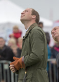  William Birds of Prey140813