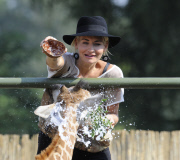Giraffentaufe