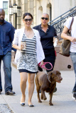 Lucy Liu and her Lab is all smiles in the NYC