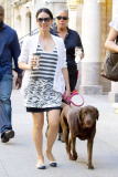 Lucy Liu and her Lab is all smiles in the NYC