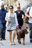 Lucy Liu and her Lab is all smiles in the NYC