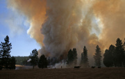 Rim Fire rages in Yosemite