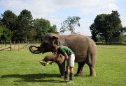 Whipsnade Zoo annual weigh-in