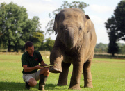 Whipsnade Zoo annual weigh-in
