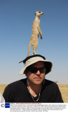 Meerkat finds a perfect lookout on journalist's head, Makgadikgadi National Park, Botswana's Kalahari Desert - 20 Aug 2013