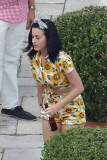 Katy Perry's has a Labor Day house party