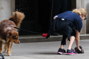 Amanda Seyfried and Finn make new friends in NYC