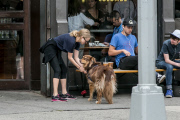 Amanda Seyfried and Finn make new friends in NYC - Part 2