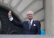  Swedish Toast 150913