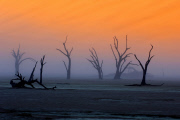 Afrika - Namibia - Dead Vlei