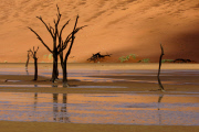 Afrika - Namibia - Regen im Dead Vlei