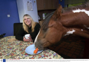 Horses Lucien and Amigo, who regularly let themselves into their owner's house, Ayrshire, Scotland - 15 Sep 2013