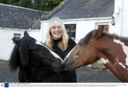 Horses Lucien and Amigo, who regularly let themselves into their owner's house, Ayrshire, Scotland - 15 Sep 2013