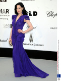AMFAR 'Cinema Against Aids 2008' Party at Moulin De Mougins, Cannes, France - 22 May 2008
