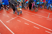 1. Rollator Run im Olympiastadion in Amsterdam