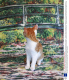 A photo series called 'Strays' shows kittens giving the camera the cold shoulder, New York, America - 19 Sep 2013