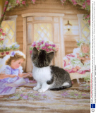 A photo series called 'Strays' shows kittens giving the camera the cold shoulder, New York, America - 19 Sep 2013