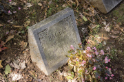 first pet cemetery in America