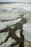 LES OURS POLAIRES EN BAIE D'HUDSON AU CANADA