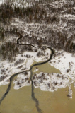 LES OURS POLAIRES EN BAIE D'HUDSON AU CANADA