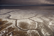 LES OURS POLAIRES EN BAIE D'HUDSON AU CANADA