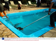 Caiman rescued from swimming pool, Pantanal, Brazil  - 17 Sep 2013