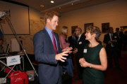  Harry Mapaction 260913