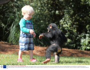 Baby chimp and little boy become friends at Myrtle Beach Safari park, South Carolina, America - 2013