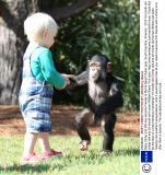 Baby chimp and little boy become friends at Myrtle Beach Safari park, South Carolina, America - 2013