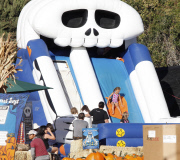 Olivier Martinez and Nahla bond at The Pumpkin Patch 