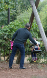 EXC: TOM HANKS TAKES HIS GRANDDAUGHTER TO HYDE PARK