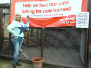 Samantha Fox besucht in ihrer Funktion als Schirmherrin das Katzentierheim Scratching Post in Chingford
