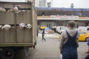 the eleventh day of Banksy