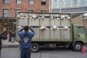 the eleventh day of Banksy