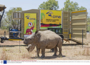 The Rhino Ambulance in Mokgopong, South Africa - 16 Oct 2013
