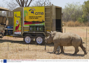 The Rhino Ambulance in Mokgopong, South Africa - 16 Oct 2013