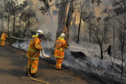 Im Kampf gegen das Feuer: Buschfeuer in Australien breitet sich aus  