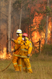 Im Kampf gegen das Feuer: Buschfeuer in Australien breitet sich aus  
